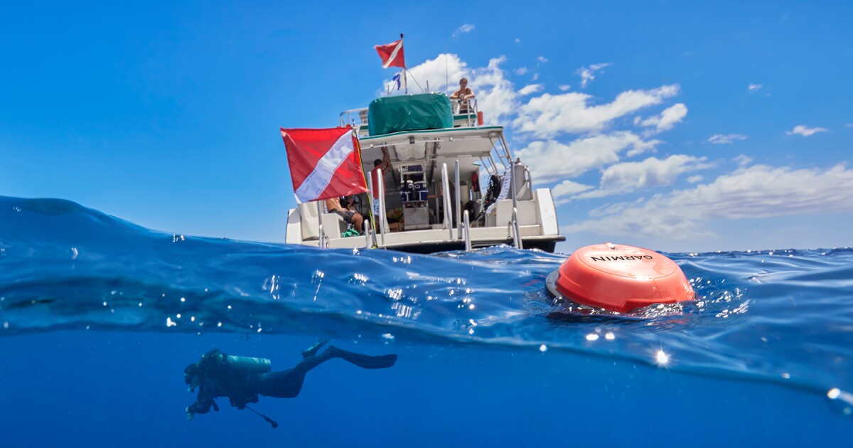 Smart sonar buoy aids divers in navigation and safety Smart sonar buoy aids divers in navigation and safety