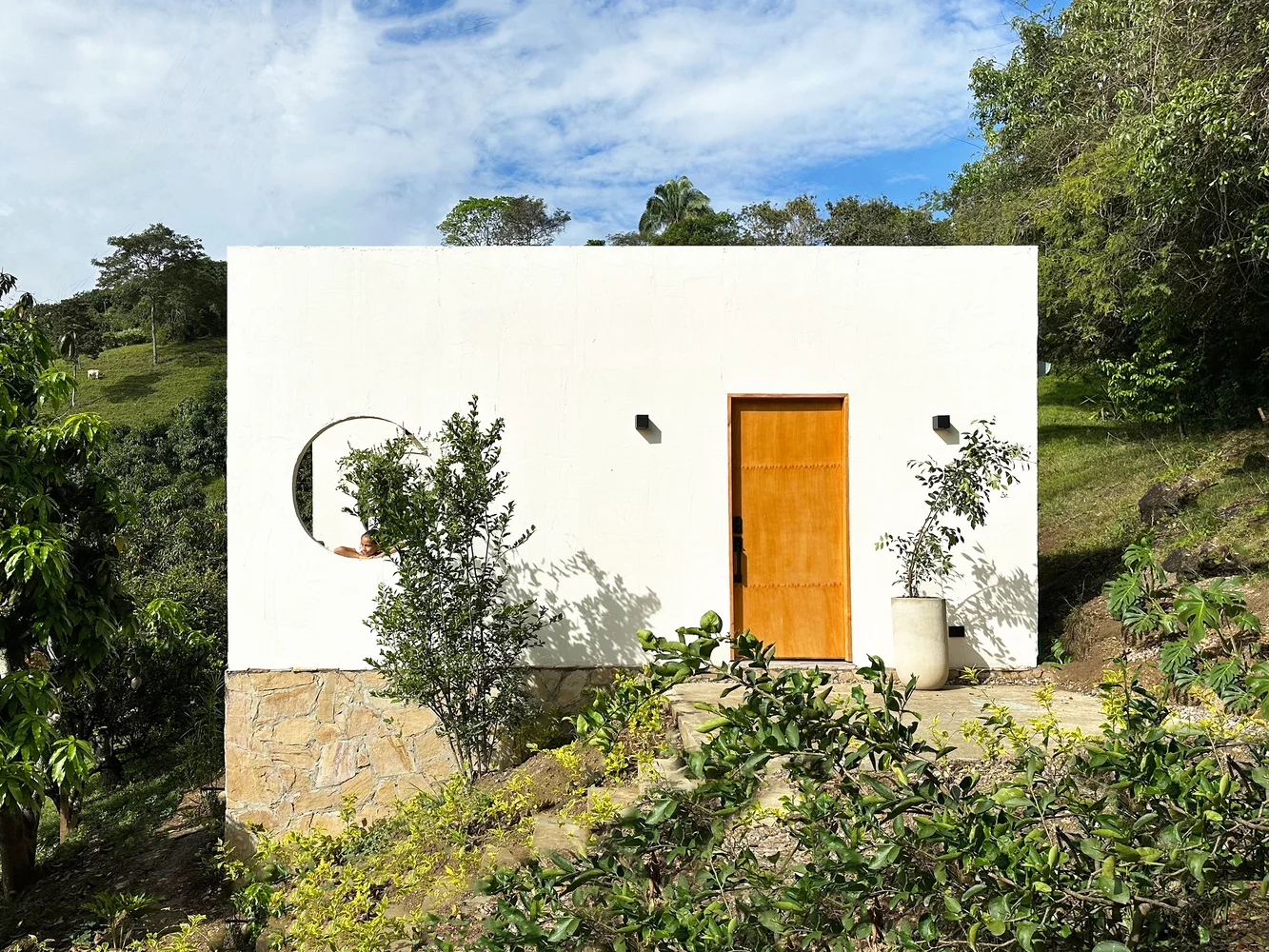 Casa Caoba, the home is nestled amid a pre-existing mango grove