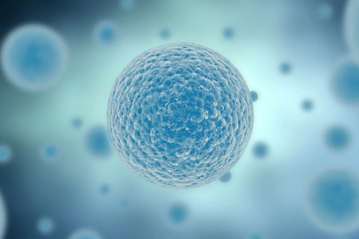 Chemists have created artificial self-assembling cell membranes that could help shed light on the origins of life (Image: Image: Shutterstock)