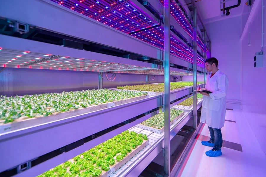 The Philips GrowWise City Farming research center will be used to study how light can be used to maximize the quality and yield of different crops