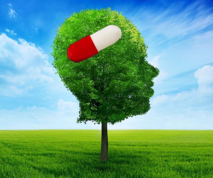 Could we fight Alzheimer's with medication the way we fight high cholesterol? New research offers hope