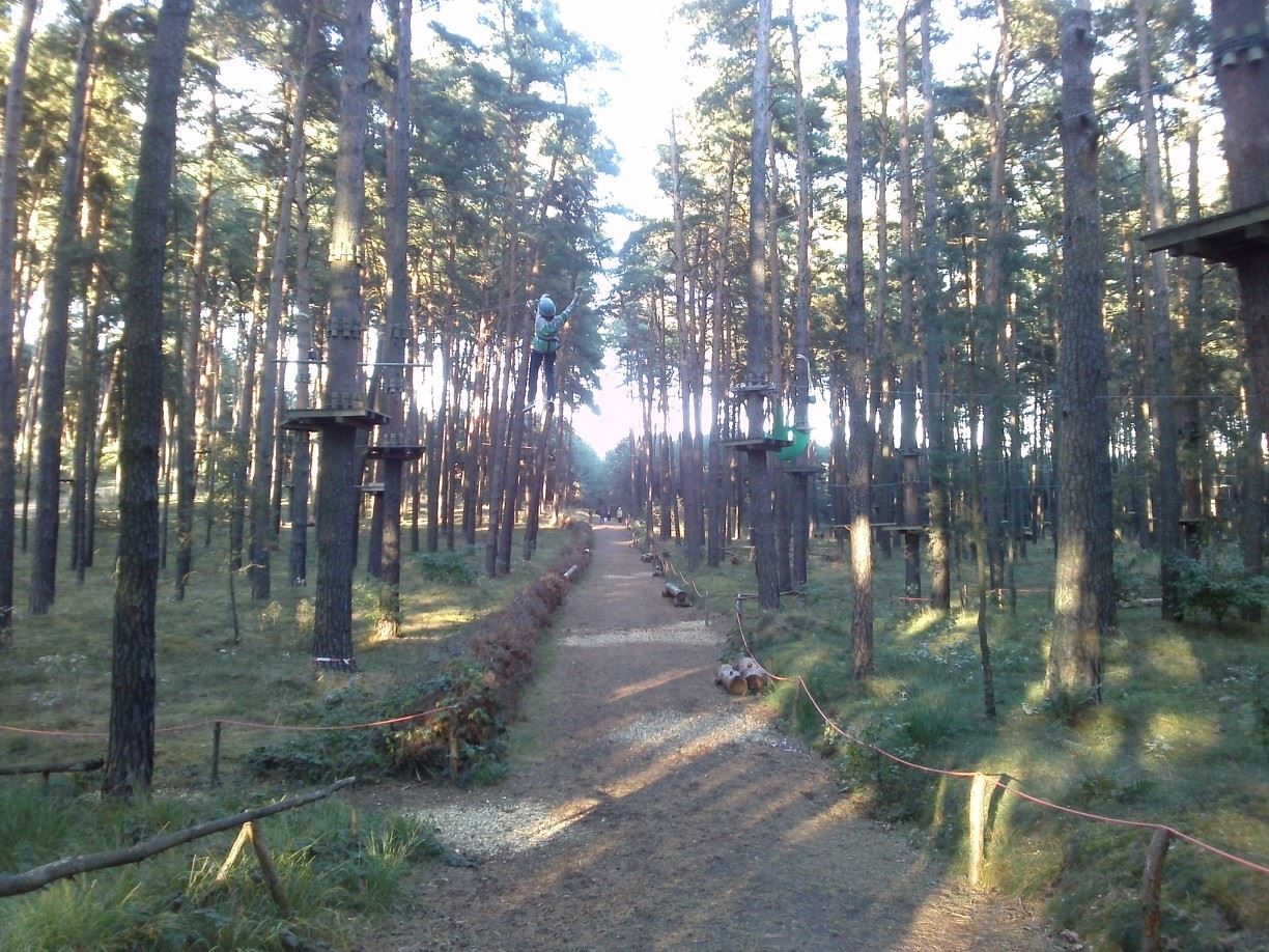 Climb Up!-Kletterwelt has three forest adventure parks in the greater Berlin area