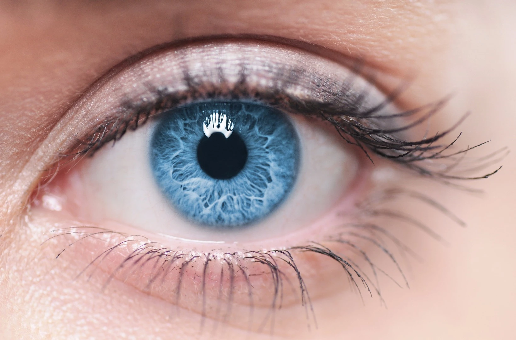 Scientists have proved that the gene editing tool CRISPR is effective at combating retinitis pigmentosa in patient-derived stem cells