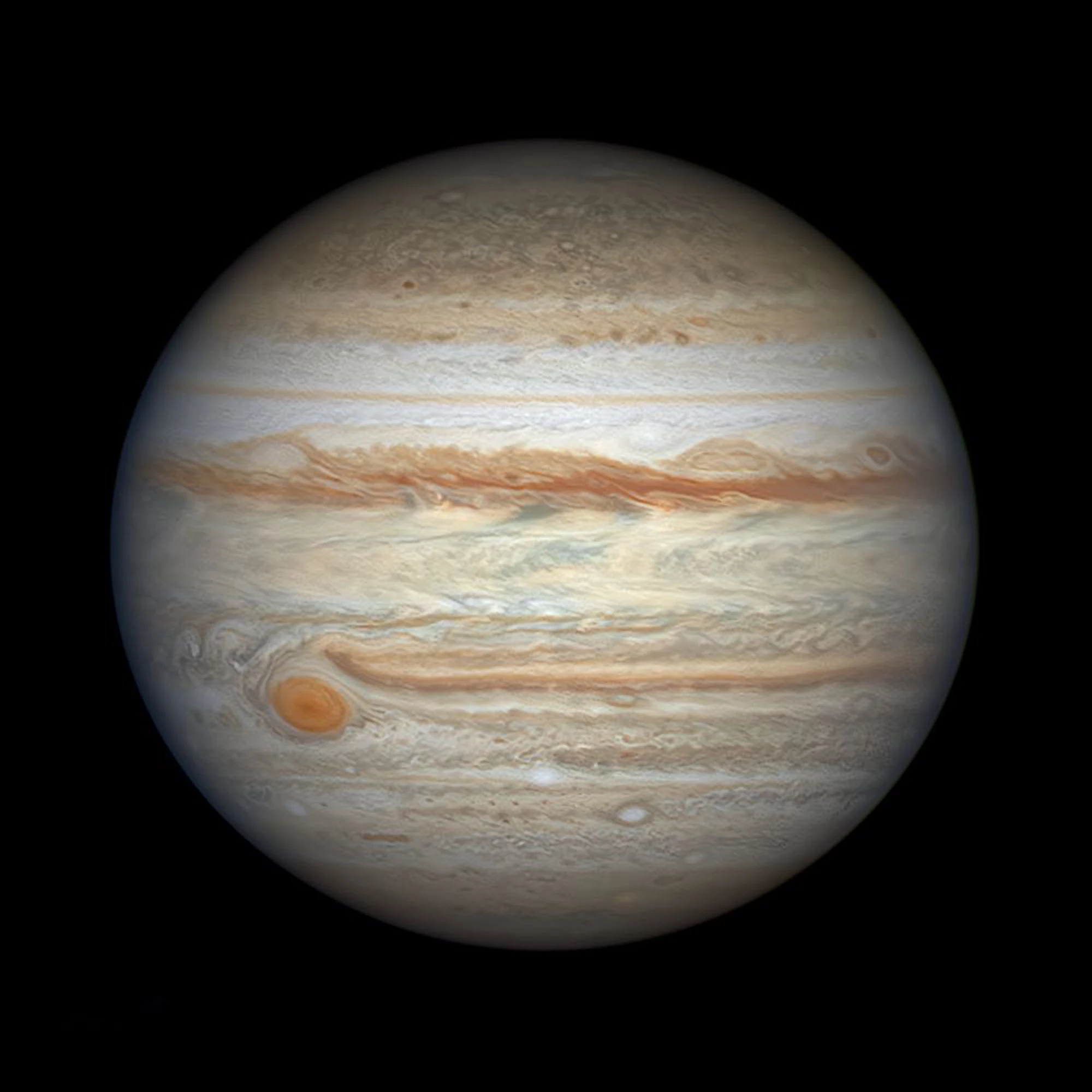 Planets, Comets & Asteroids, Runner-Up. "Jupiter Close to Opposition"