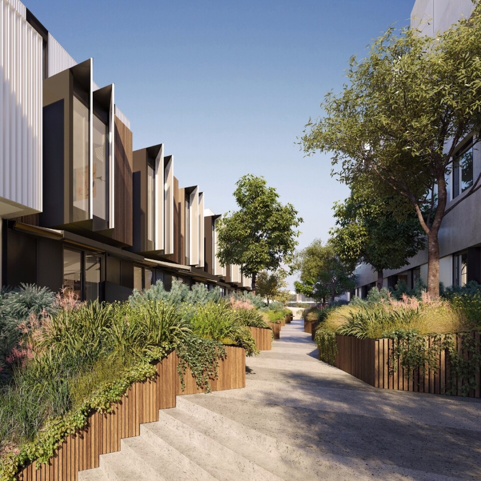 122 Roseneath St. has two raised "linear parks" with drought-resistant native landscaping