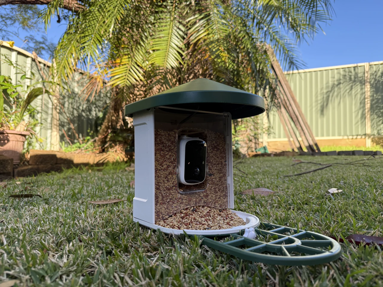 The bird feeder is designed to be mounted on a post or strapped to a tree, but our birds like to forage on the lawn