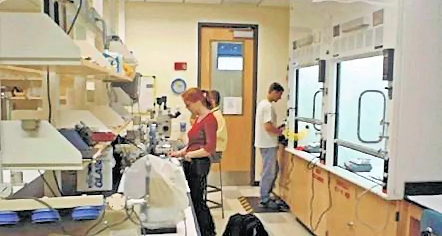 The sample preparation lab of Prof. Muller's group at Cornell (Photo: Cornell University)