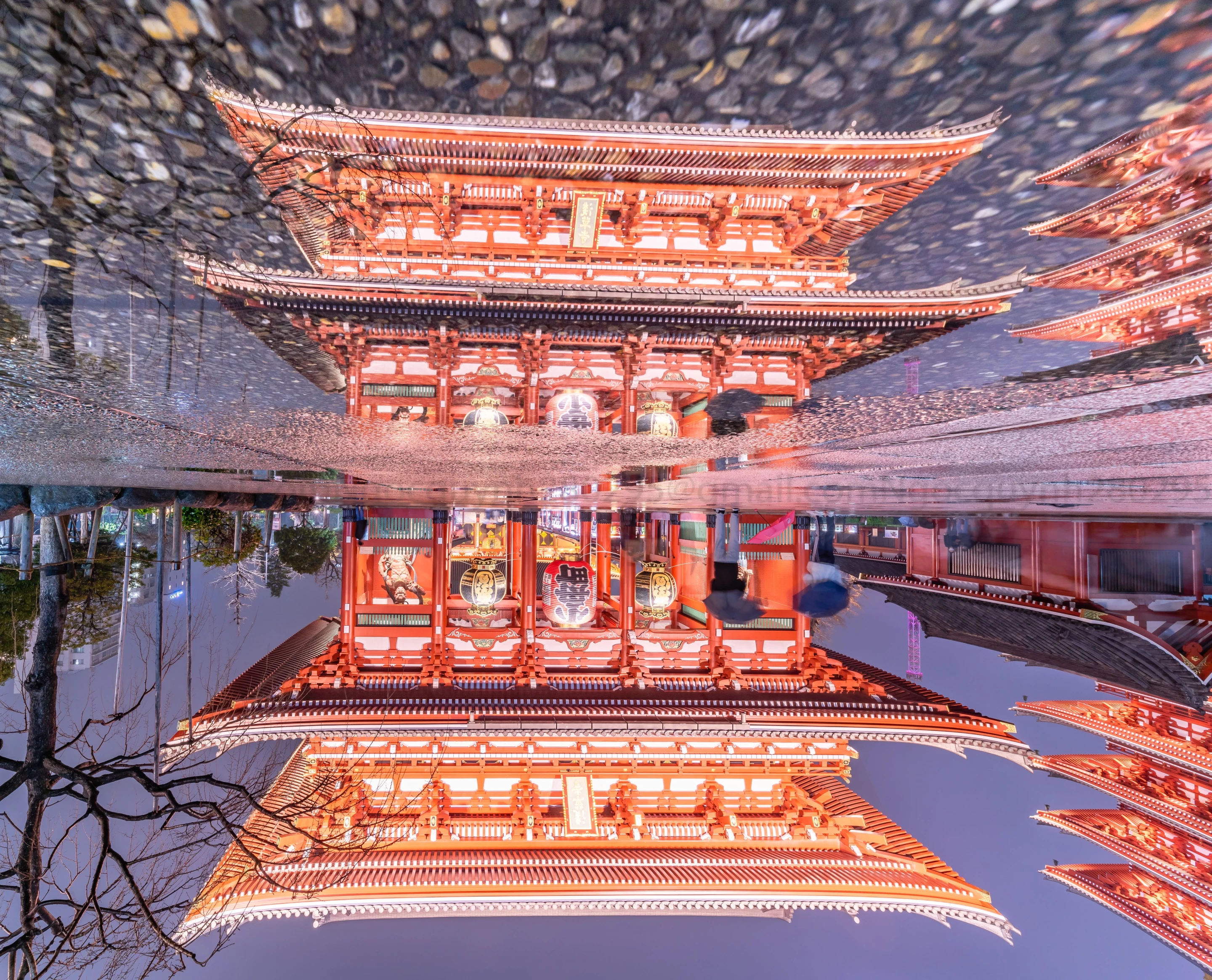 'Rainwater', Tokyo, Japan