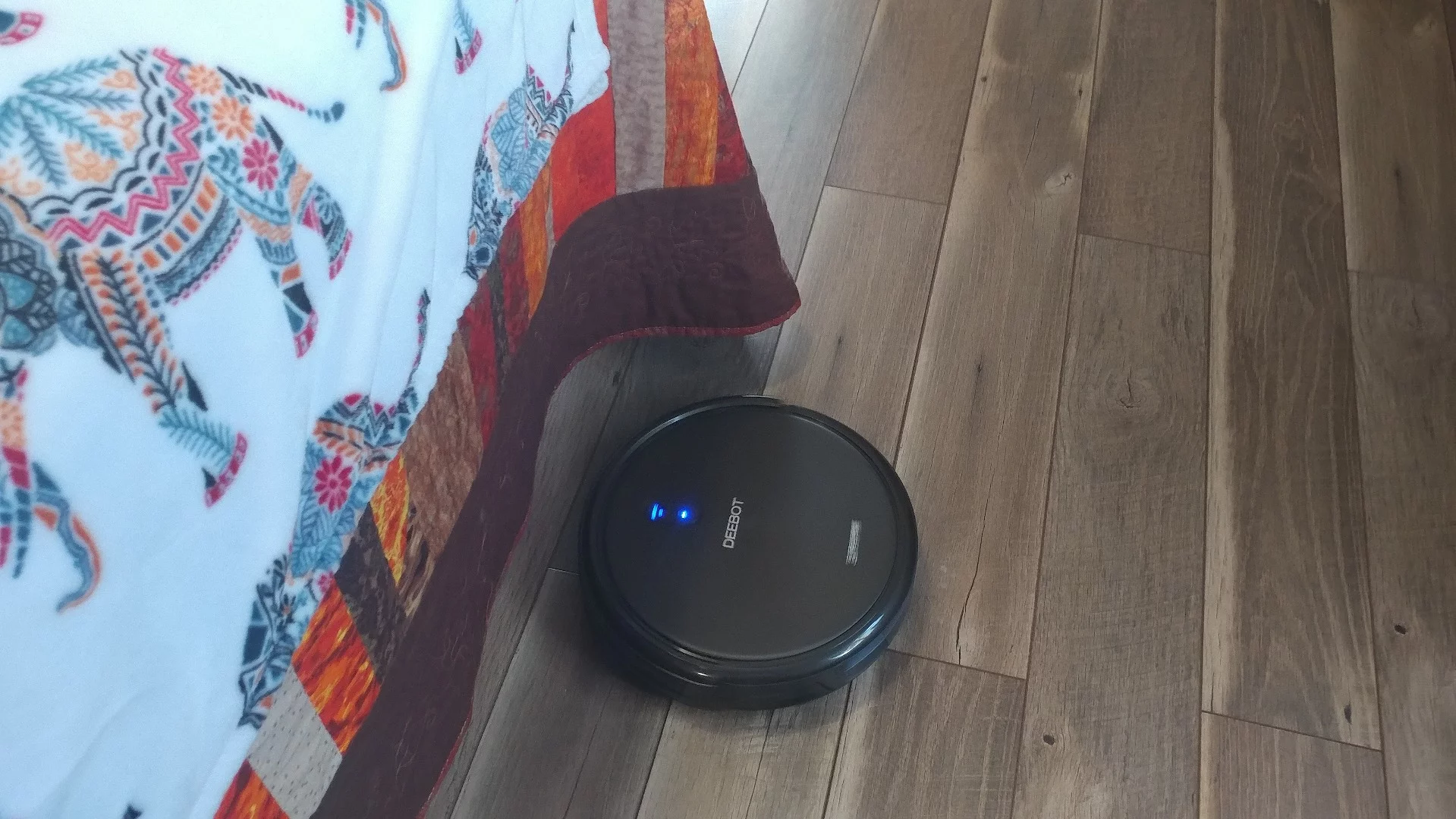 Obstacles like this raised bed with bedding hanging down are easily surmounted or ignored by the Deebot N79S as it cleans