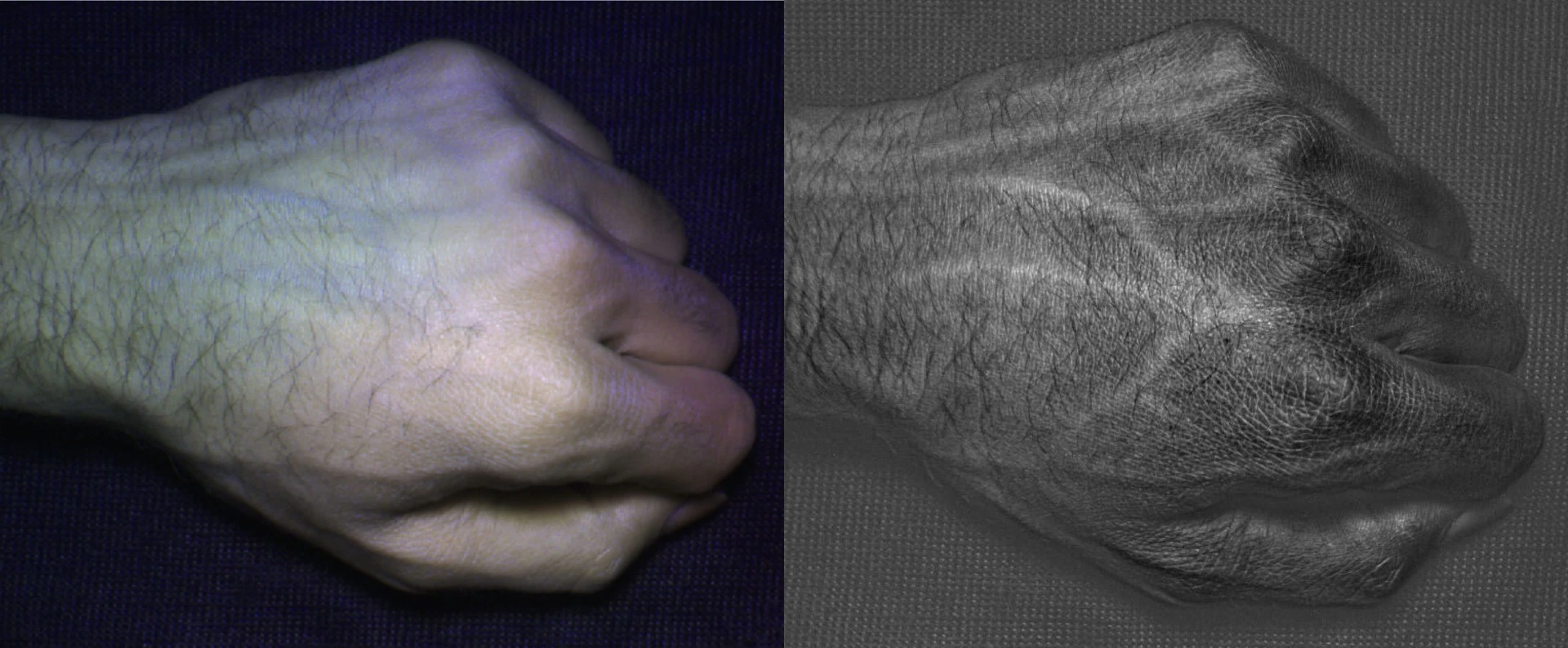 A hand shot by a regular RGB camera (left) and by the HyperCam, showing its veins and skin texture