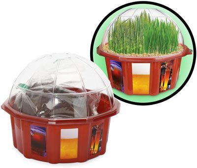 The Grow Your Own Beer Garden kit