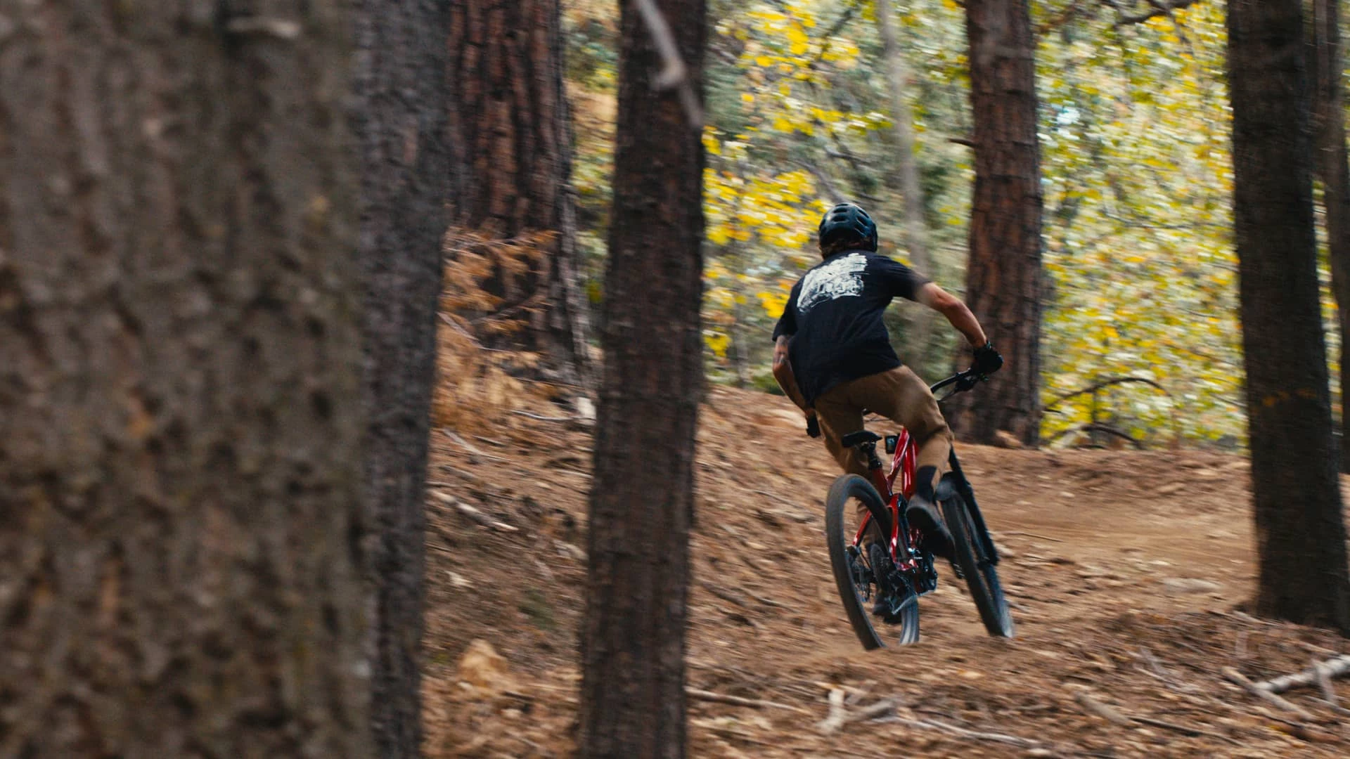 There's a thumb throttle for powering through climbs without having to pedal