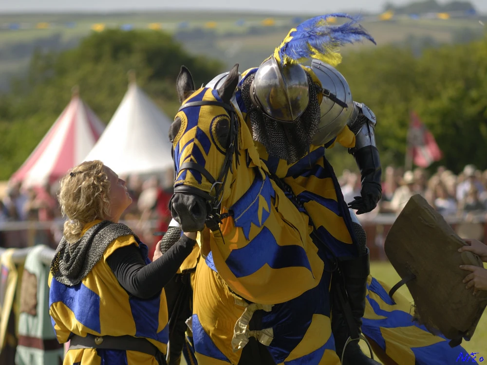 The roots of ambling horses have been traced back to medieval England