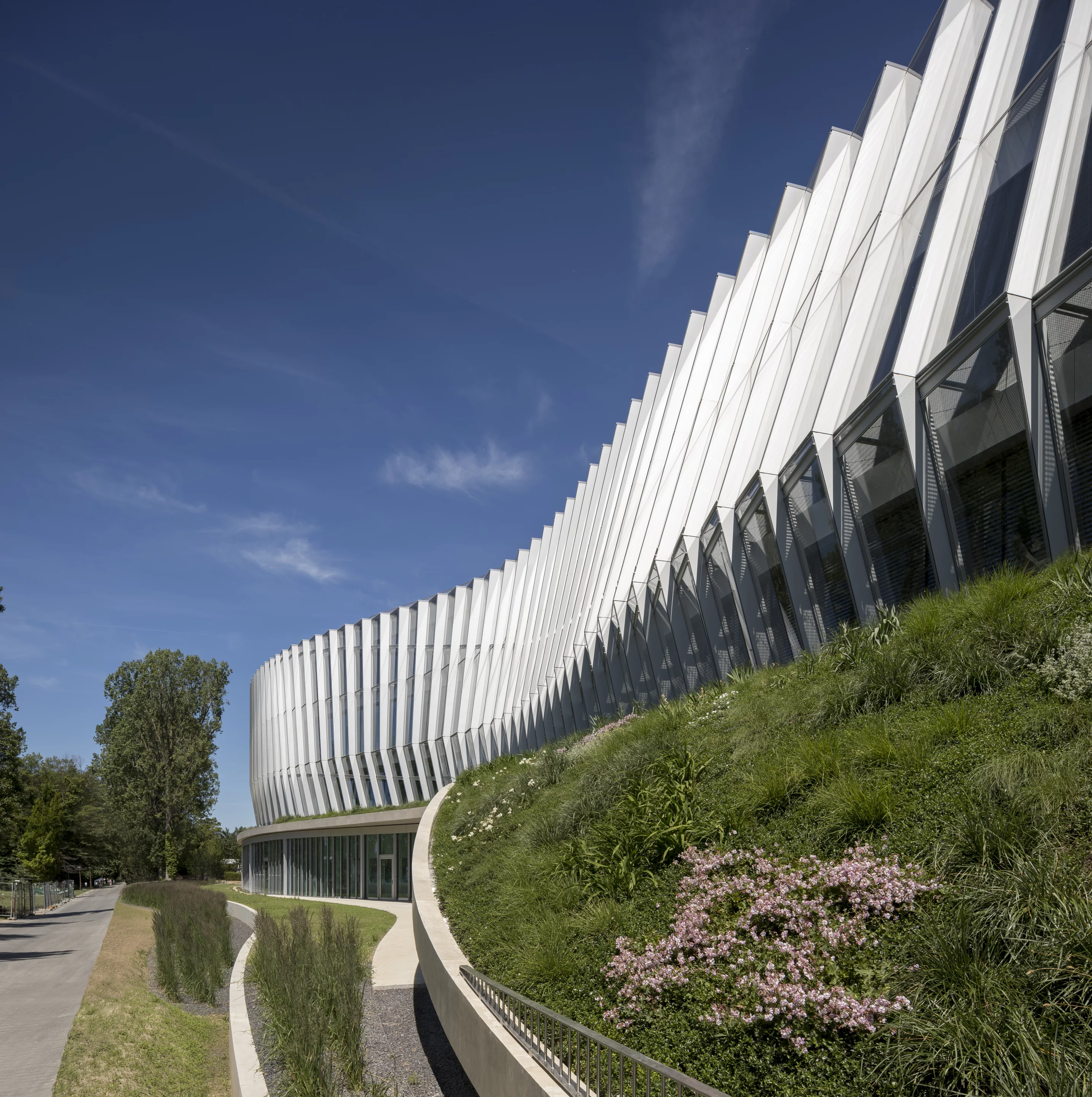 The Olympic House is defined by its glazed facade