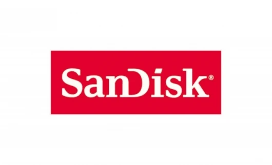 SanDisk has announced the SDTM Write Once Read Many Card