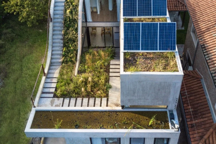 The MeMo House's unfinished concrete is softened with greenery and wood