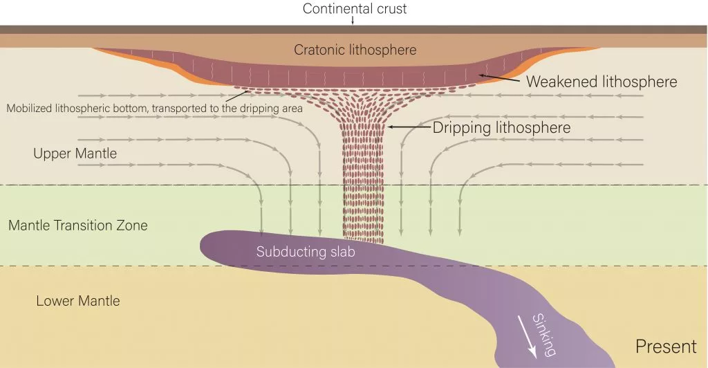 A figure from the study showing rock dripping from the craton – the researchers hypothesize that the dripping is caused by the remnants of the subducting Farallon slab below the craton