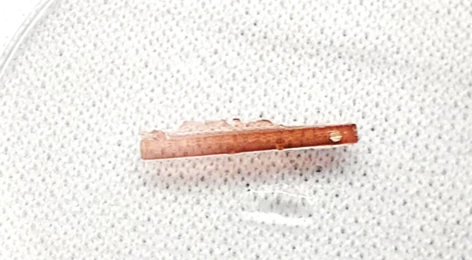 "She may not look like much, but she's got it where it counts" – one of the prototype stone-snuffing filaments