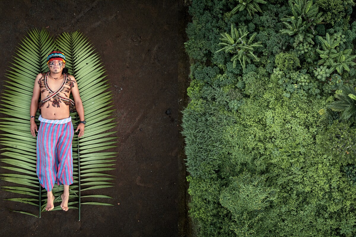 Overall Winner. José
                          is one of the leaders of the Achuar indigenous
                          people in the Sharamentsa community. He
                          defends his rainforest by generating projects
                          in collaboration with external organizations