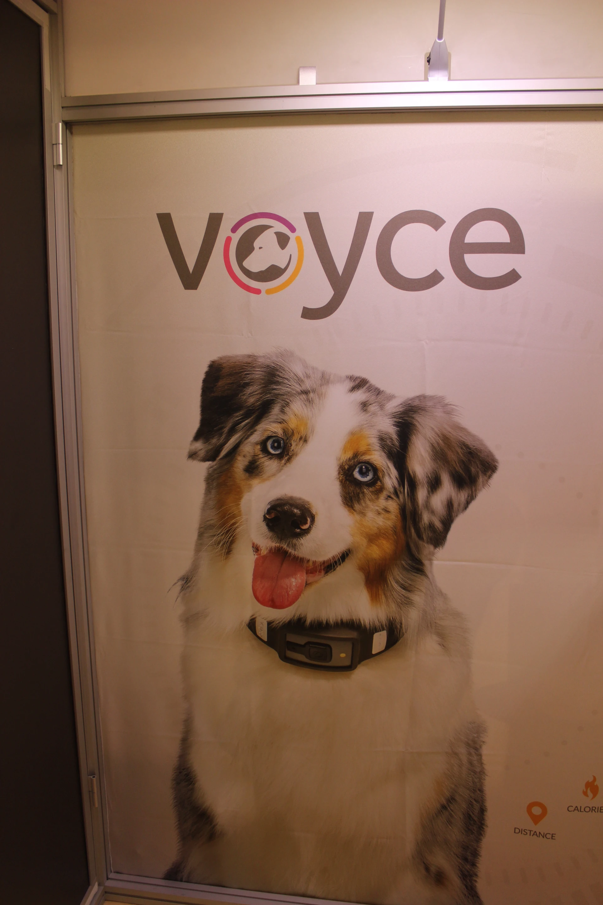 (Photo: Ben Coxworth/Gizmag)