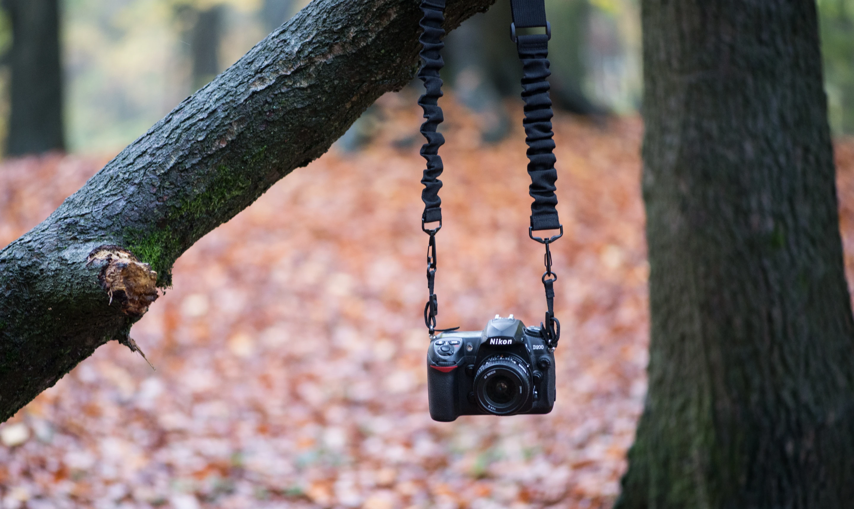 The Boomr camera strap uses an internal bungee cord system to maximize comfort