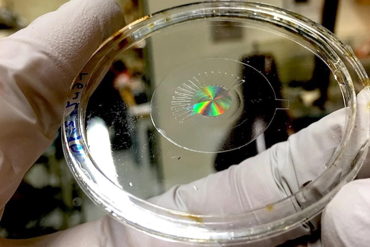 The complex nanostructures give the eye an iridescent sheen