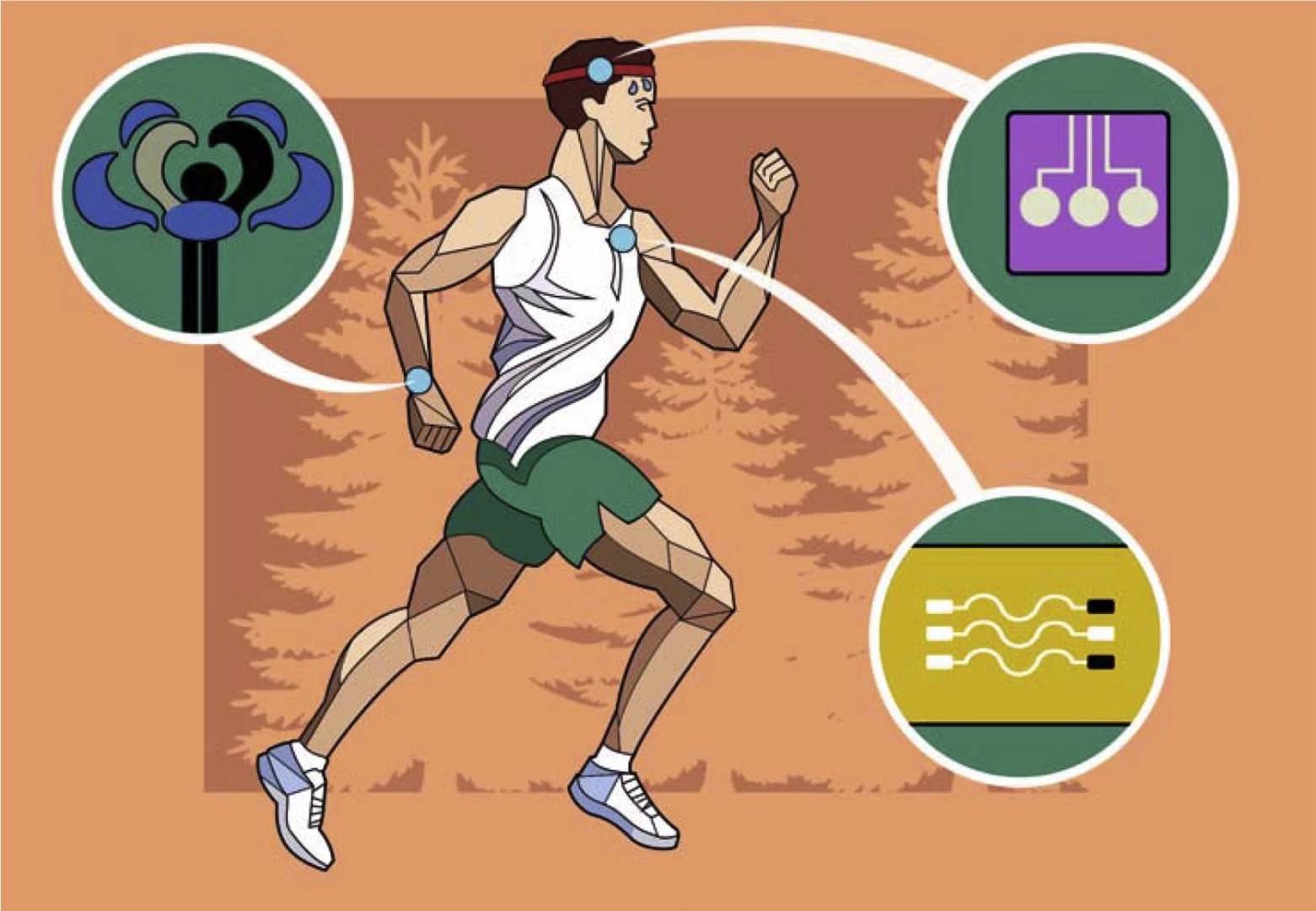 Typical wearable sensor placement options used in physical training
