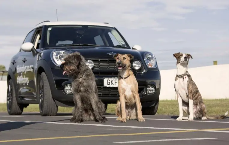 The gang and their ride