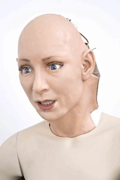 The FACE robot is capable of mimicking facial expressions