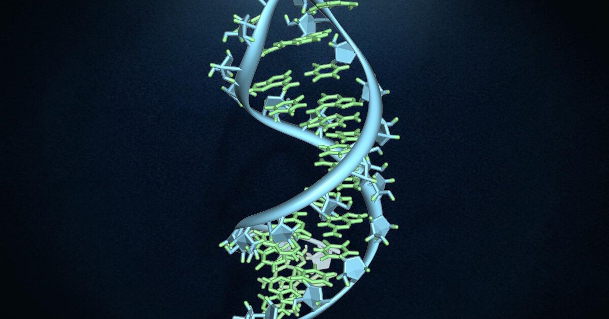 Tiny RNA molecule "QT45" offers clues to life's origins