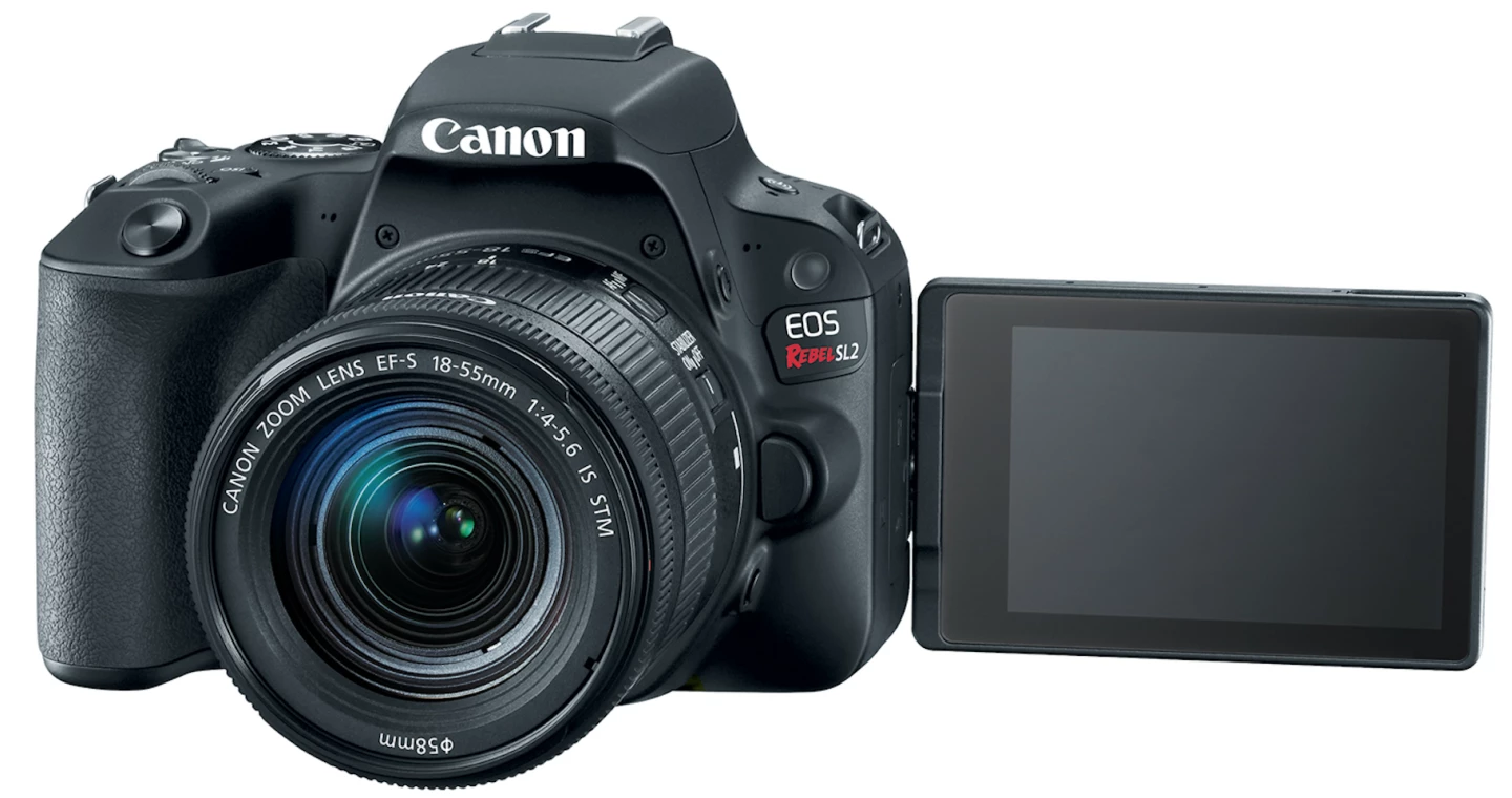 The flip-out screen on the Rebel SL2