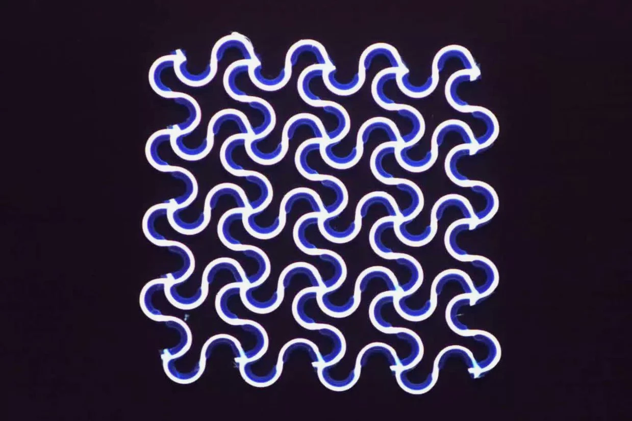 A closer look at one of the muscle lattices