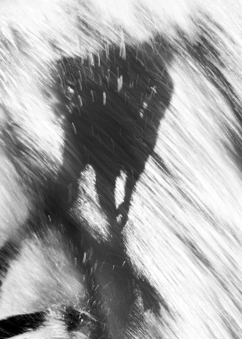 From the 2018 shortlist of finalists