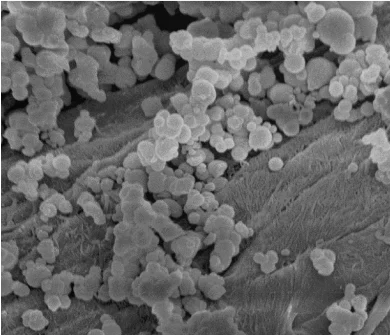 Silica nanoparticles deposited on textile fibers, using the NANOMOSKI process