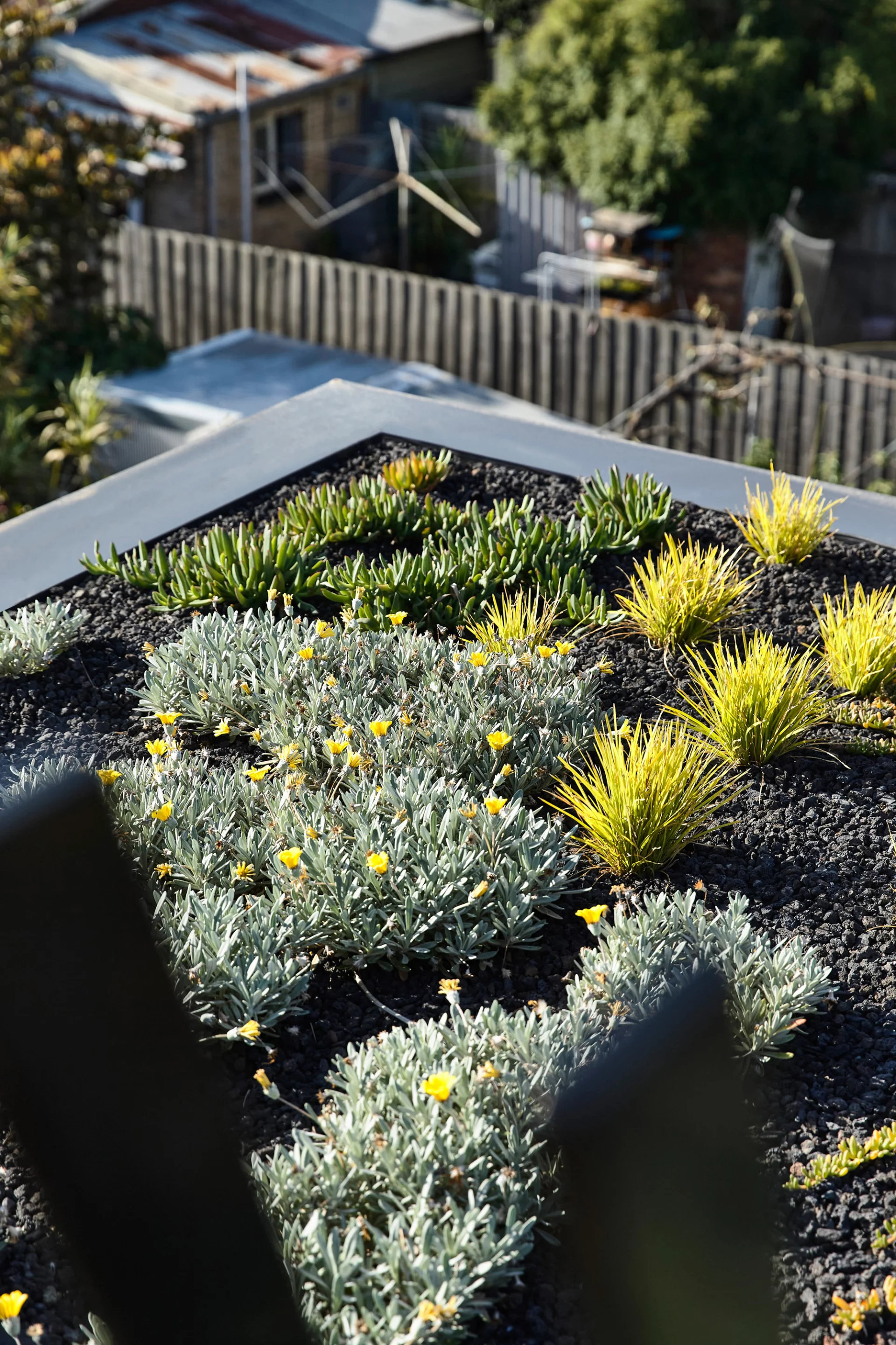 Union House is topped by a green roof