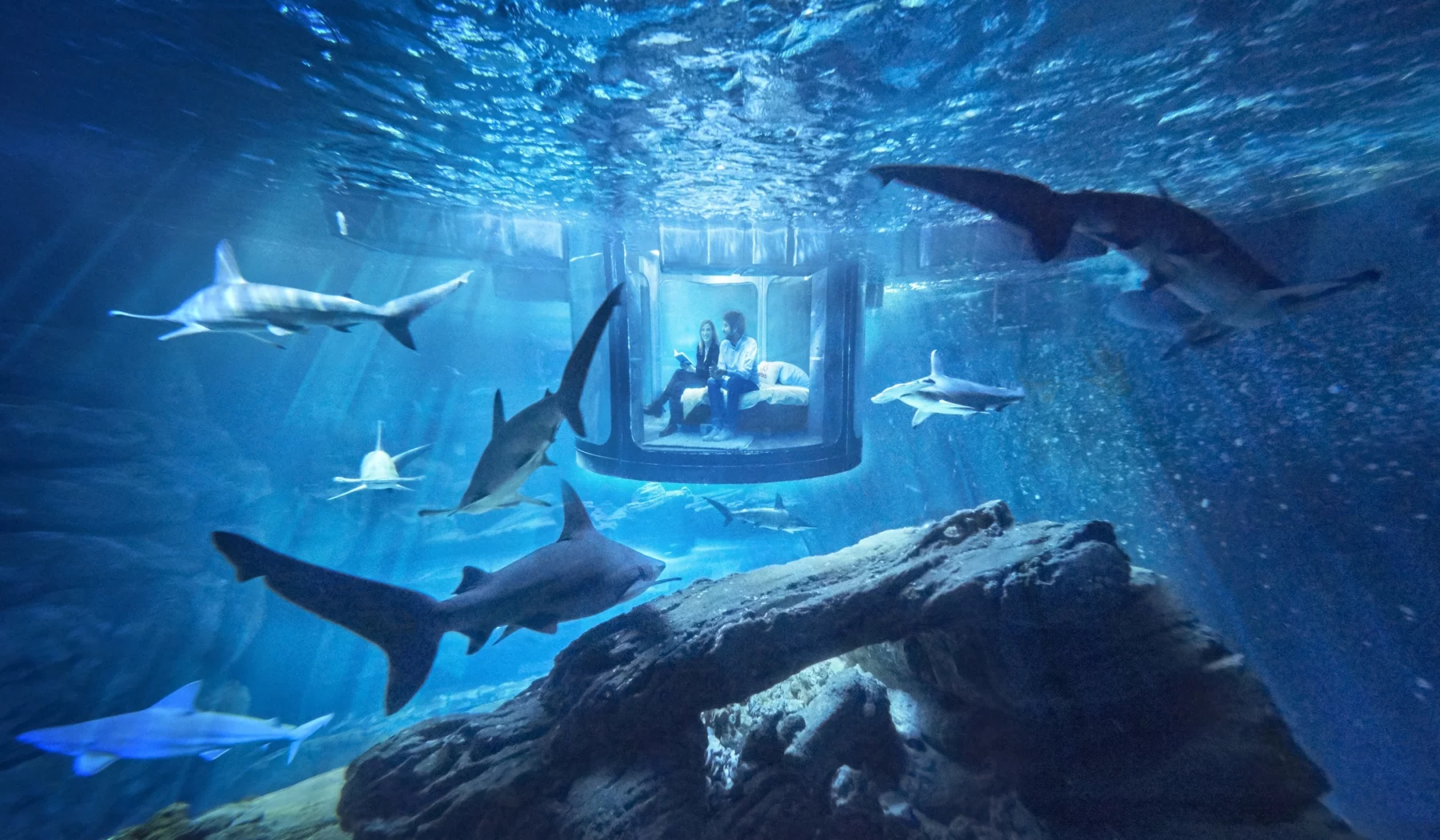 The underwater bedroom is located at France's Aquarium de Paris