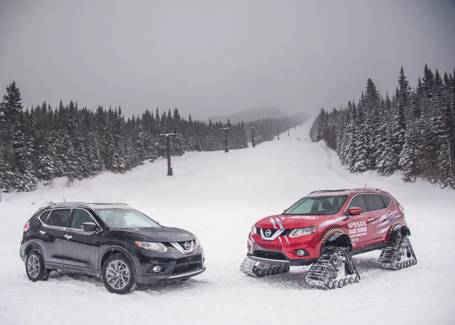 The Rogue and Rogue Warrior