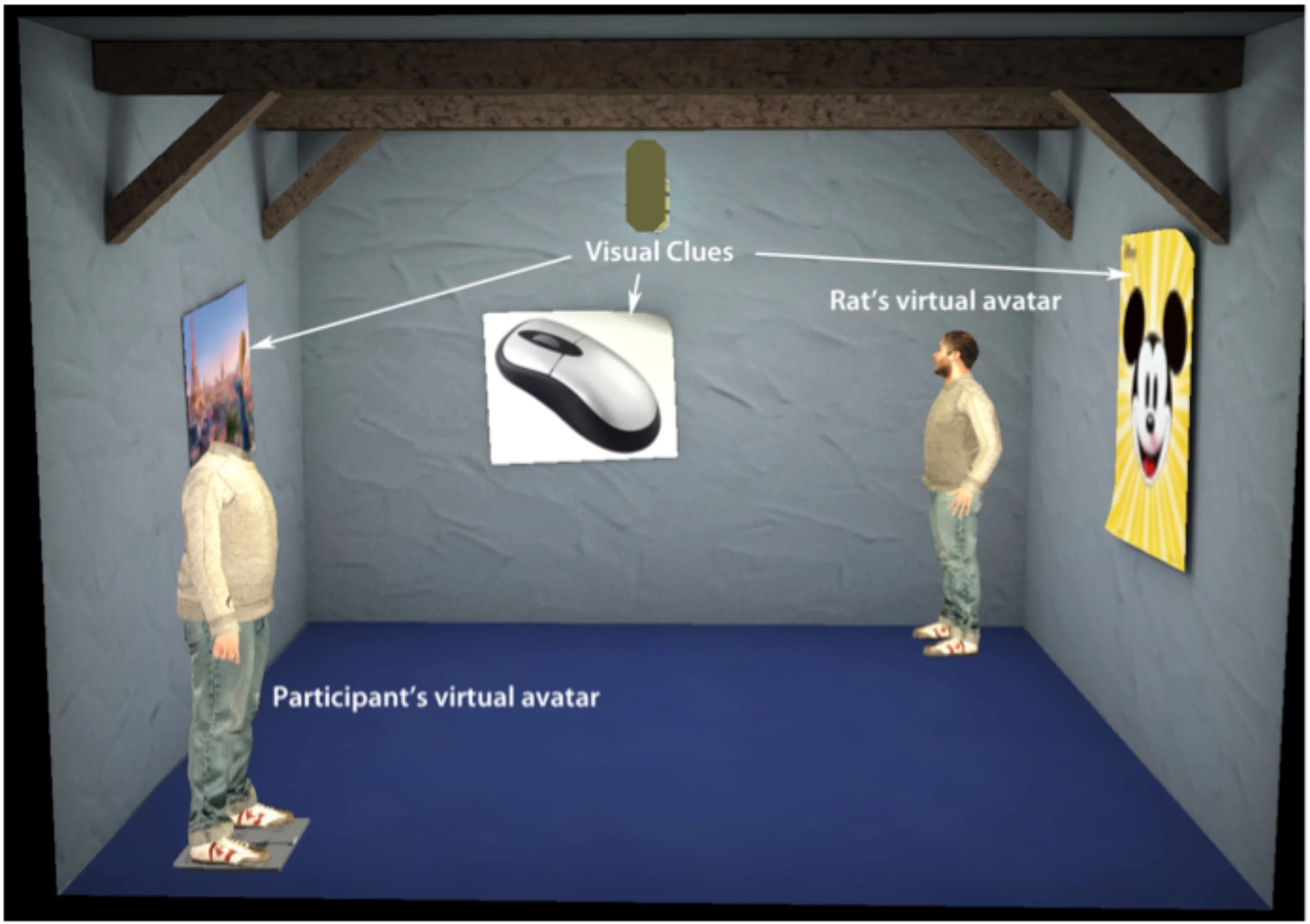 A diagram of the setup for the experiment