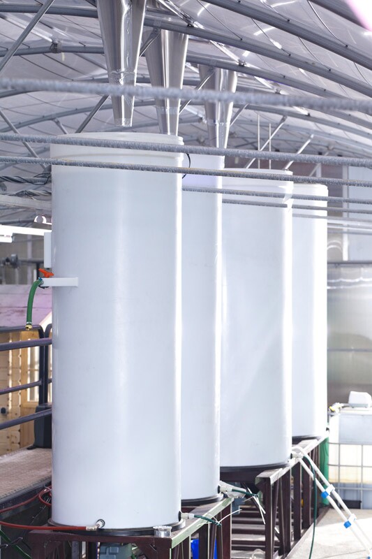 The reactors used in See Algae's process