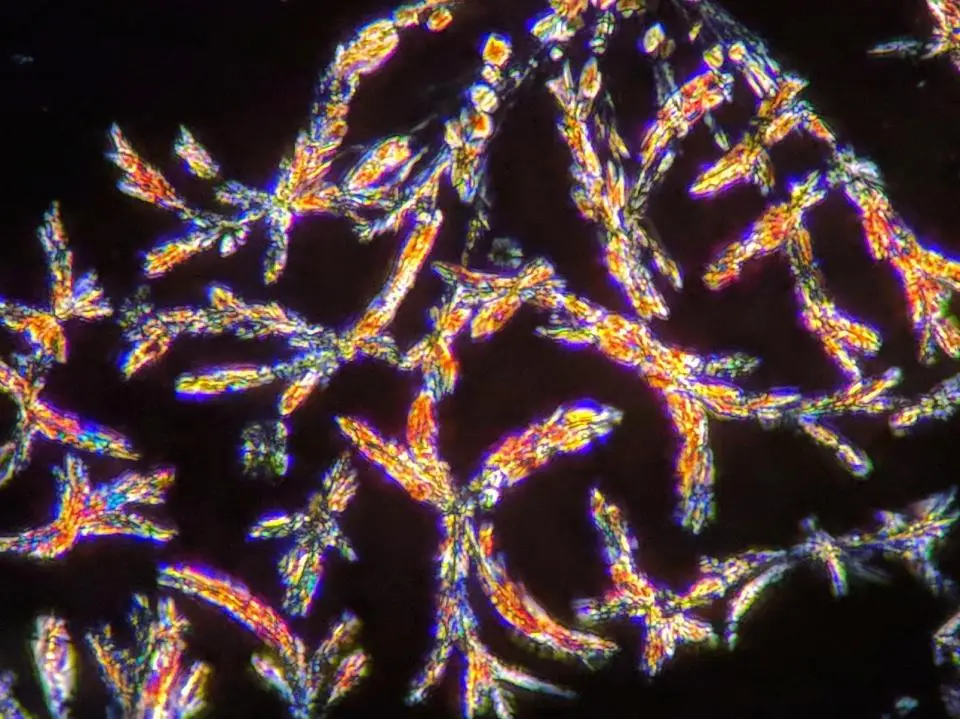 DMT (imaged in crystal form above) was the psychedelic used in one of the first animal studies to investigate the effects of microdosing