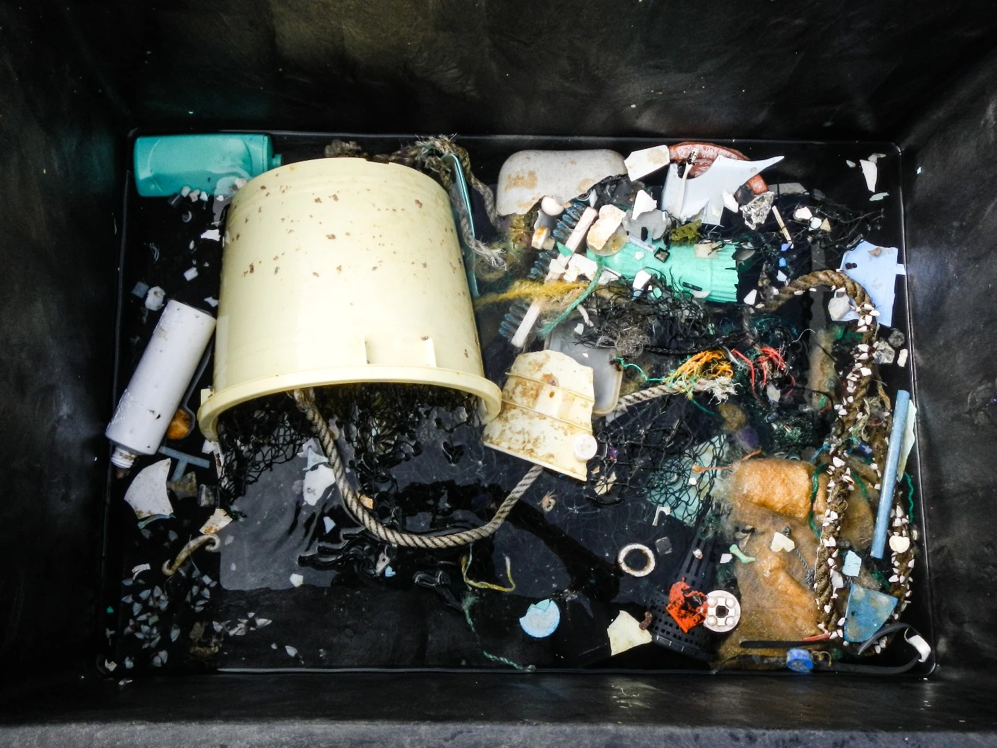 For better or for worse, science is teaching us more and more about the huge amount of plastic that we're pouring into the ocean
