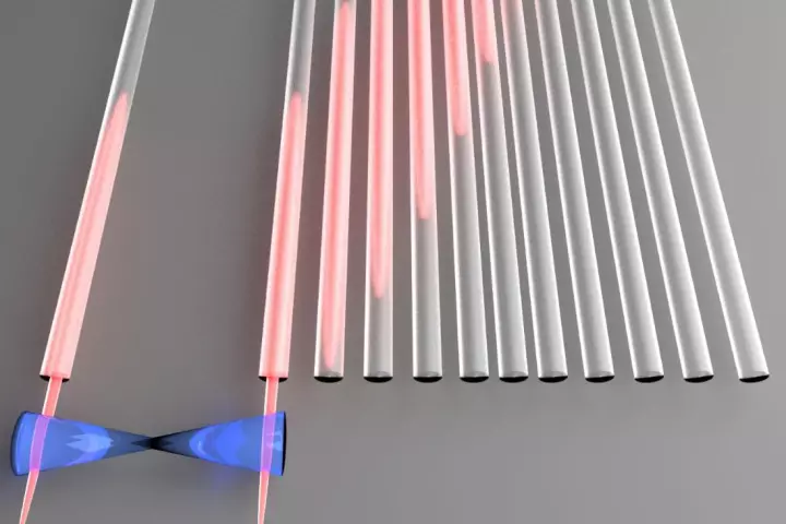 Quantum information encoded in single particles of light is moved to a distant location via perfect state transfer