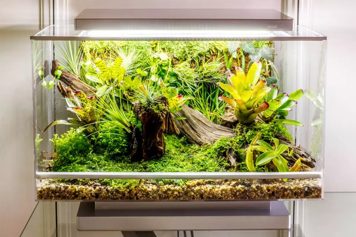 A prototype Biopod terrarium