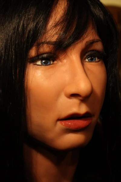 The FACE robot is capable of mimicking facial expressions
