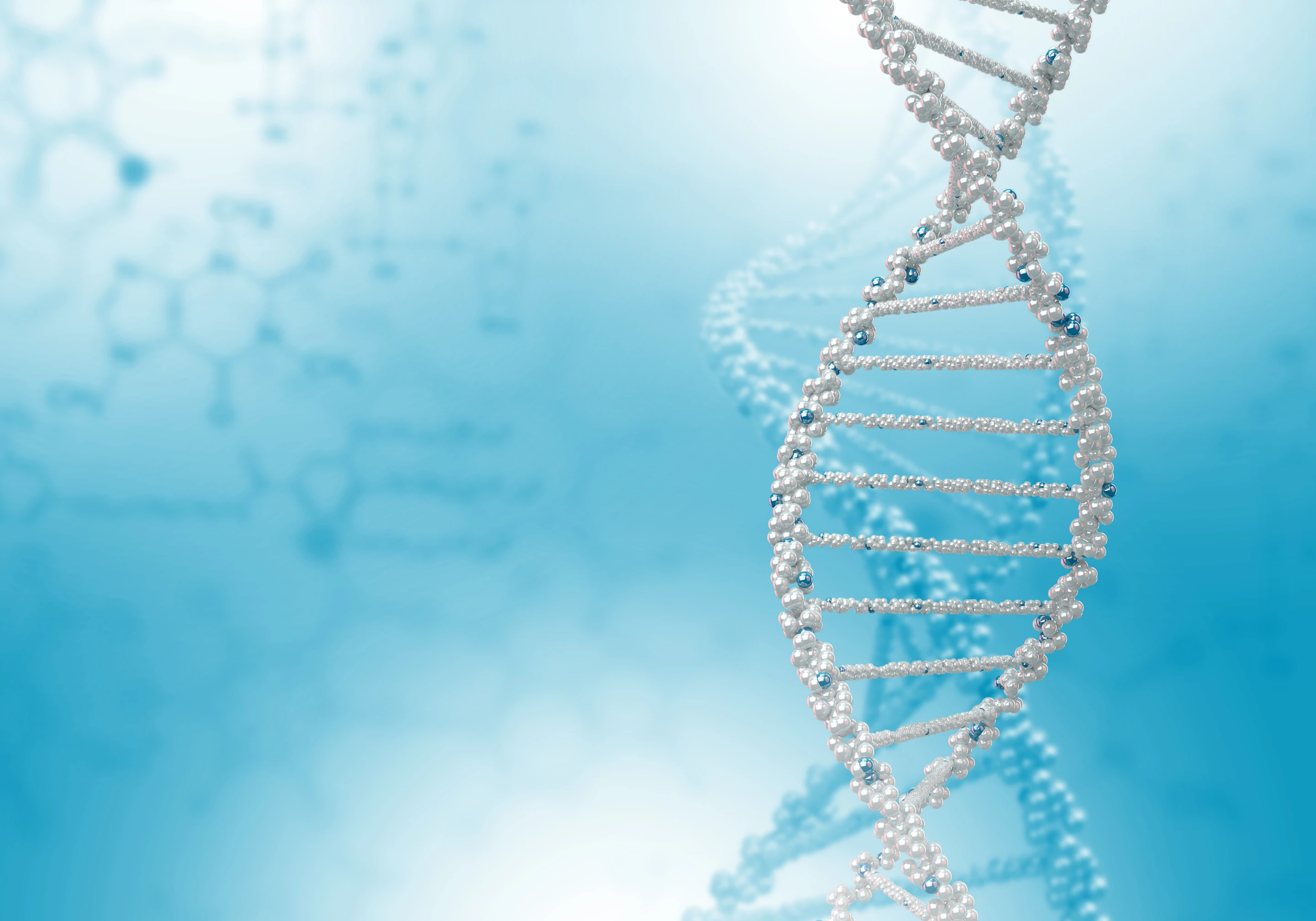 A still experimental HIV therapy involves a transplant of stem cells from a donor with a rare genetic mutation