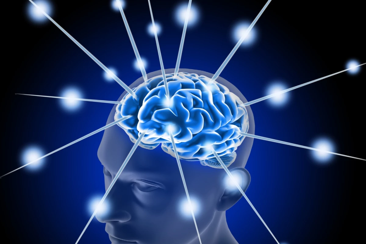 The first phase of human trials for a promising ultrasound treatment for dementia is set to commence late in 2019