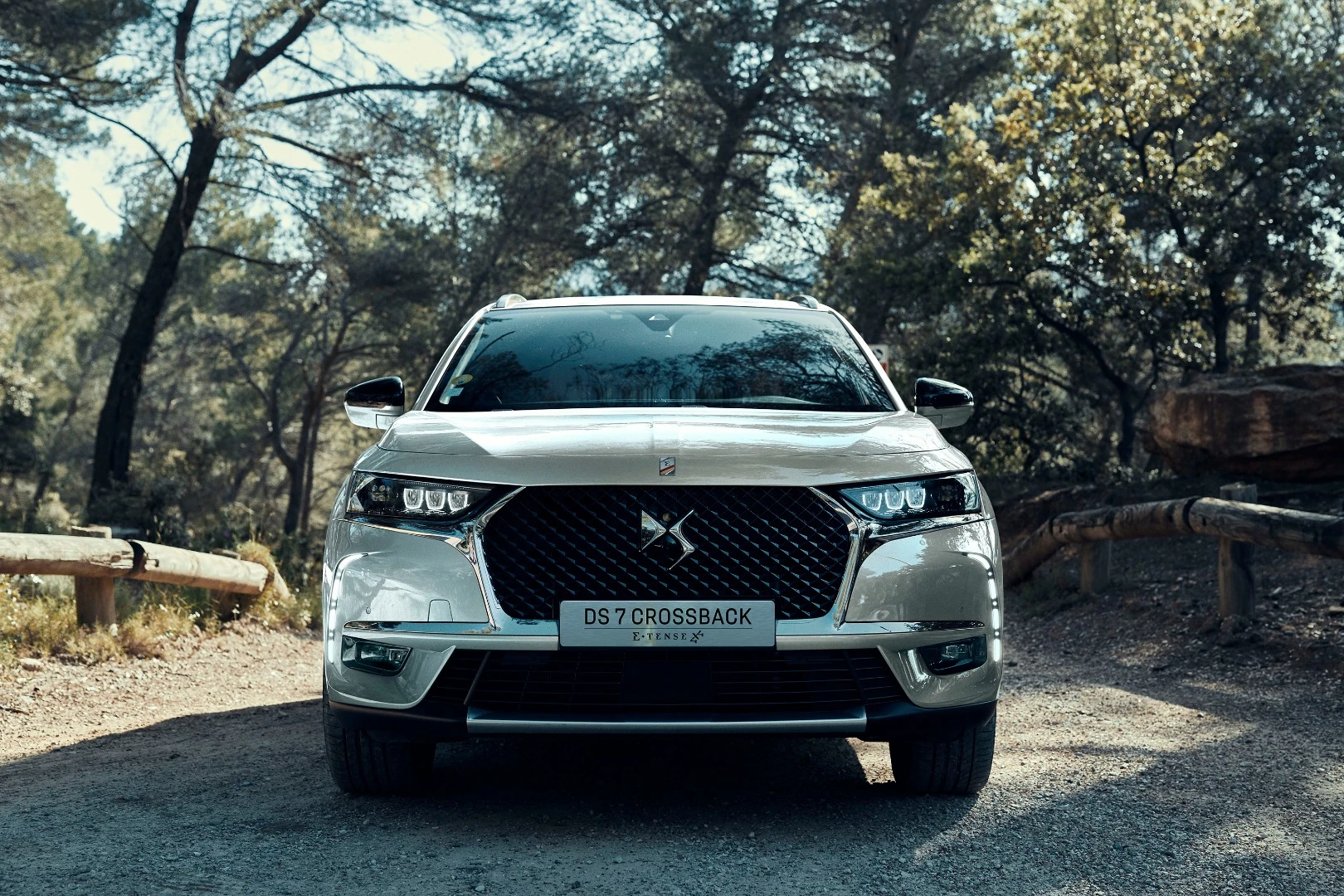 The DS 7 is based on an exterior that's markedly different from Citroen's lineup, but still has some obvious Citroen roots like this grille