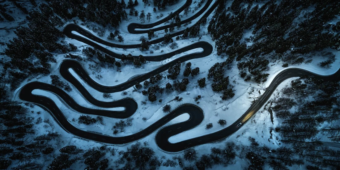 Curators Award. Black Mamba, Maloyapass/Switzerland