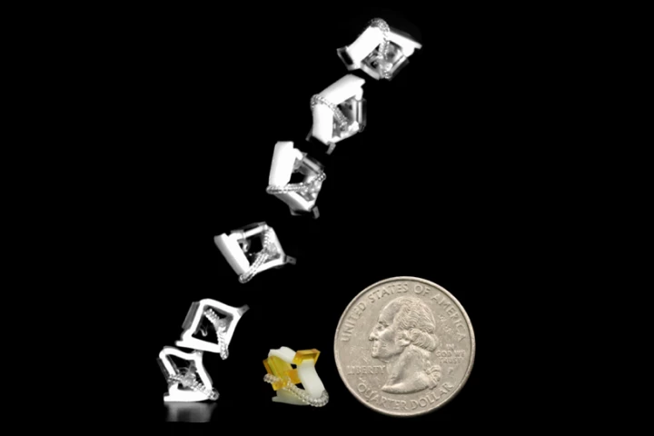 One of the miniature robots is capable of jumping a horizontal distance of 60 times its own body length