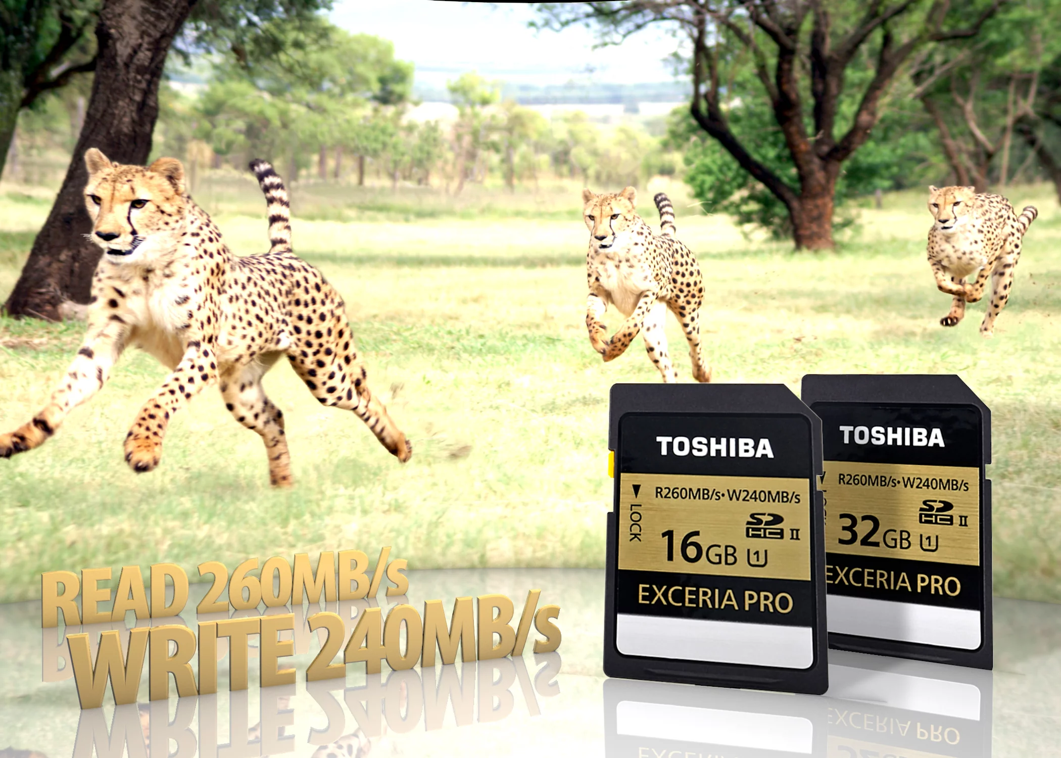 The Toshiba Exceria Pro SD cards will be available in 16 GB and 32 GB capacities